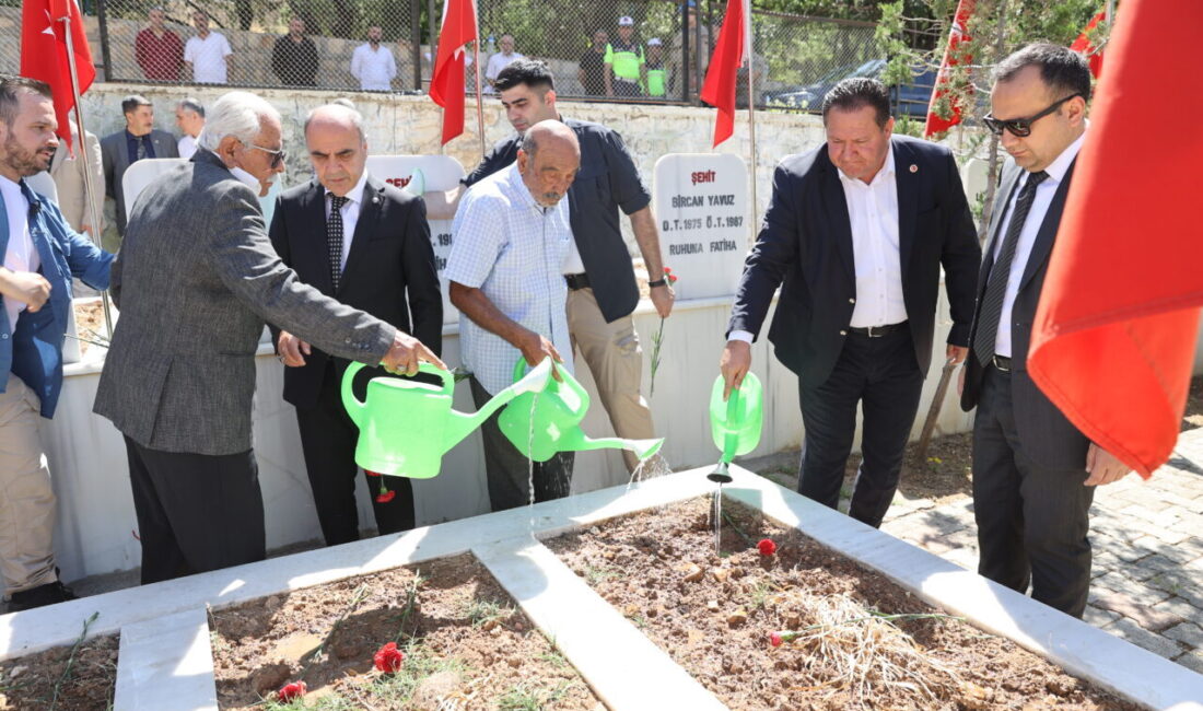 MARDİN (AA) – Mardin'in Ömerli ilçesinin kırsal Pınarcık Mahallesi'nde 39