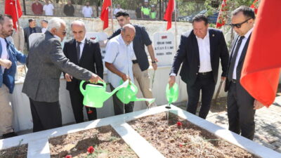 MARDİN (AA) – Mardin'in Ömerli ilçesinin kırsal Pınarcık Mahallesi'nde 39