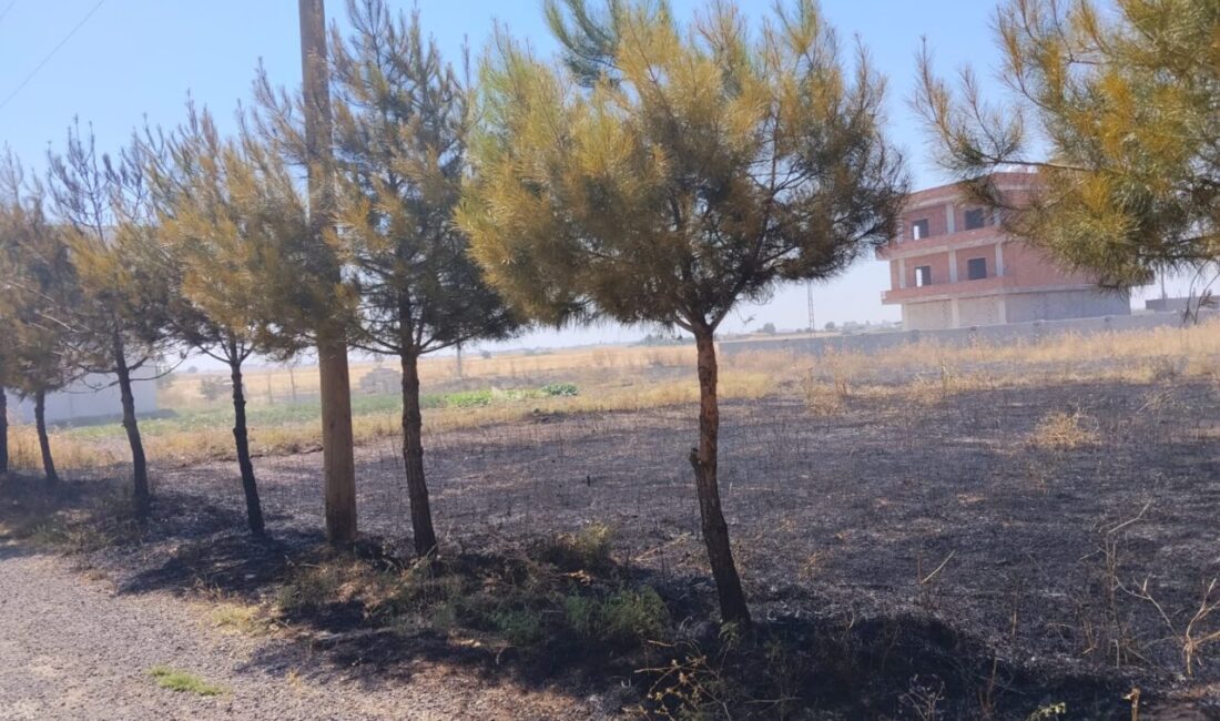 MARDİN (AA) – Mardin'in merkez Artuklu ile Kızıltepe ve Savur