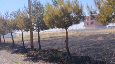 MARDİN (AA) – Mardin'in merkez Artuklu ile Kızıltepe ve Savur