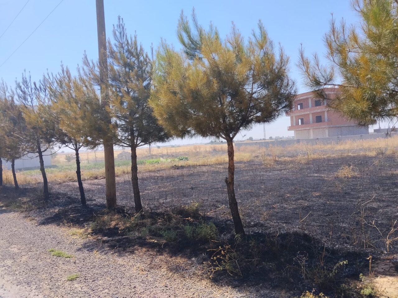 MARDİN (AA) – Mardin'in merkez Artuklu ile Kızıltepe ve Savur