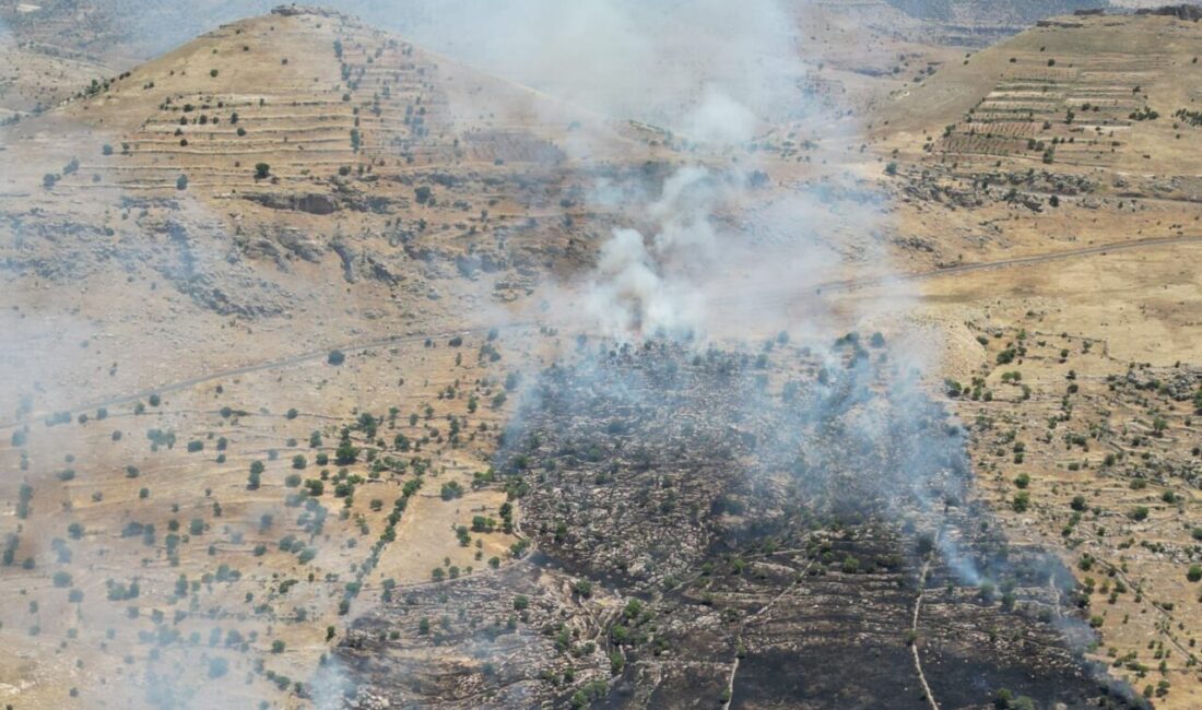 MARDİN (AA) – Mardin'in Yeşilli ilçesi kırsalında çıkan örtü yangını