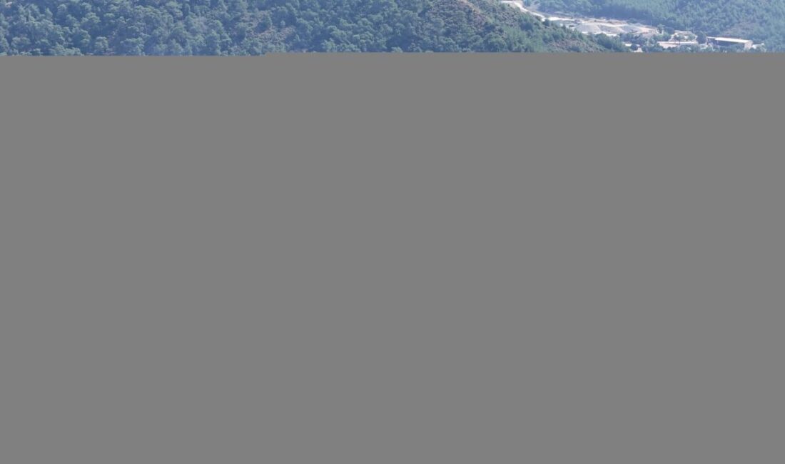 MUĞLA (AA) – Muğla'nın Marmaris ilçesine, "Aroya" isimli kruvaziyerle 2
