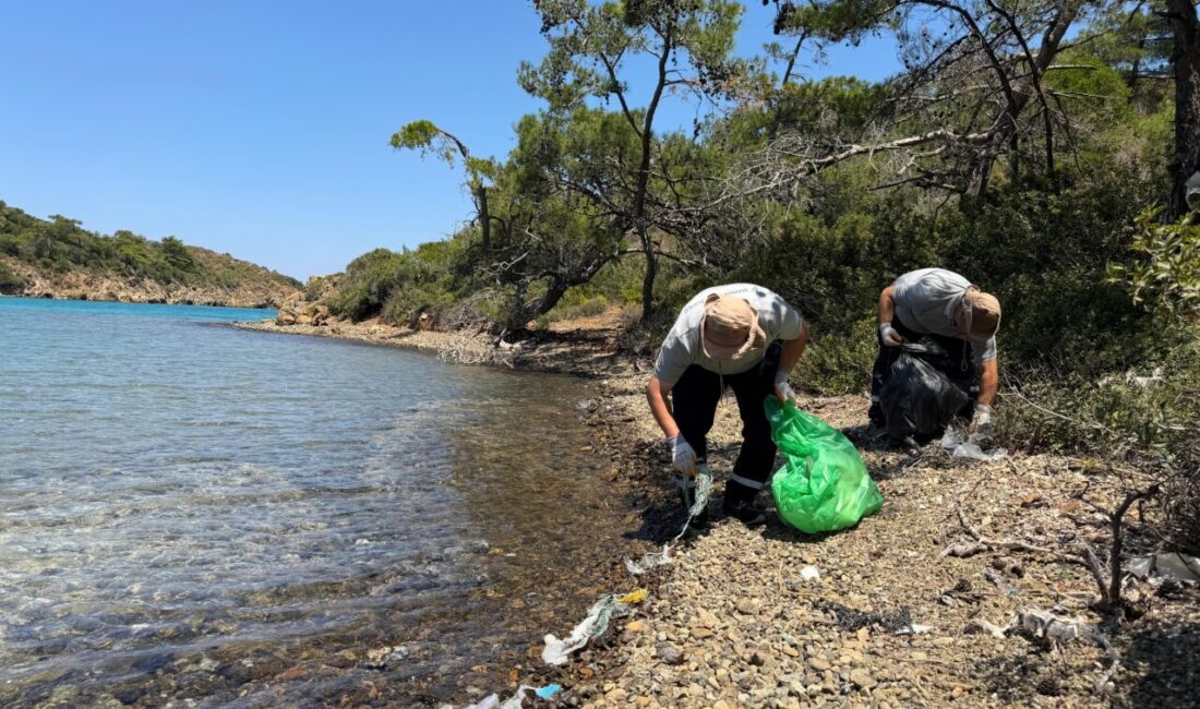 MUĞLA (AA) – Muğla'nın Marmaris ilçesinde, belediye ekipleri ve doğa