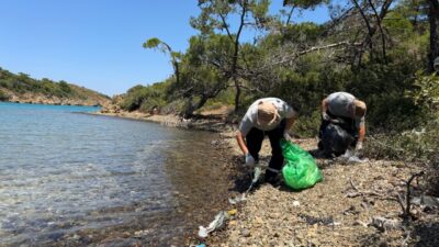 MUĞLA (AA) – Muğla'nın Marmaris ilçesinde, belediye ekipleri ve doğa