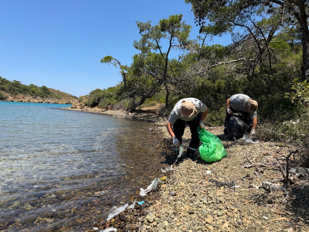 MUĞLA (AA) – Muğla'nın Marmaris ilçesinde, belediye ekipleri ve doğa
