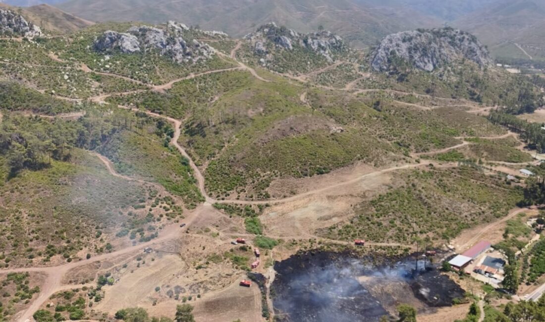 MUĞLA (AA) – Muğla'nın Marmaris ilçesinde ormanlık ve ekili tarım