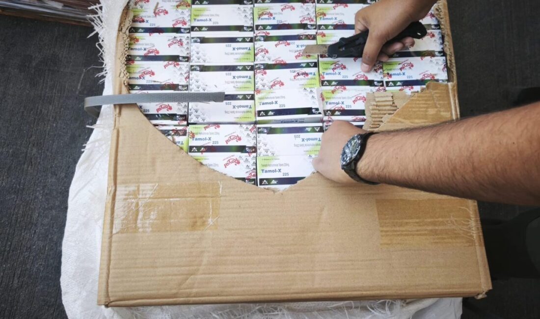 MERSİN (AA) – Mersin Uluslararası Limanı'na Pakistan'dan gelen bir konteynerde
