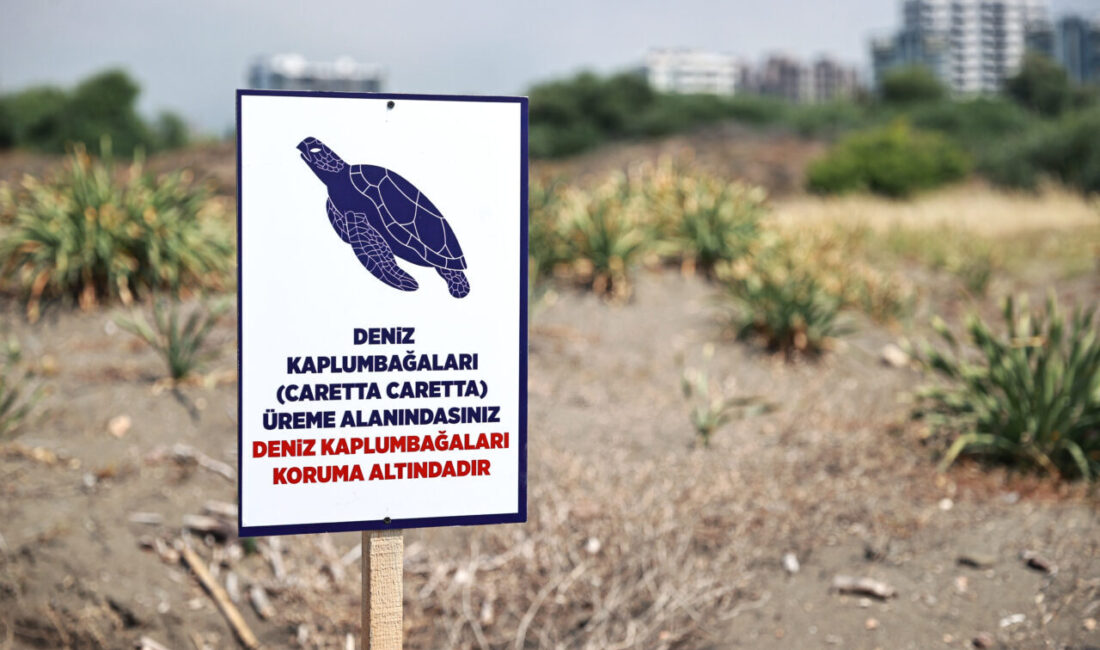 MERSİN (AA) – Mersin'in Erdemli ilçesinde deniz kaplumbağalarının yuva yaptığı