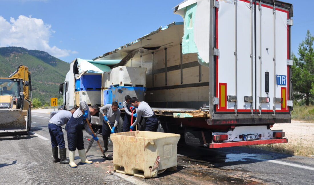 MERSİN (AA) – Mersin'in Silifke ilçesinde, dorsesinin bir bölümü kırılan