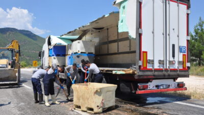 MERSİN (AA) – Mersin'in Silifke ilçesinde, dorsesinin bir bölümü kırılan