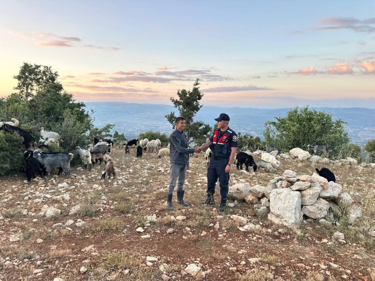 MERSİN (AA) – Mersin'in Gülnar ilçesinde kaybolan 40 küçükbaş hayvan