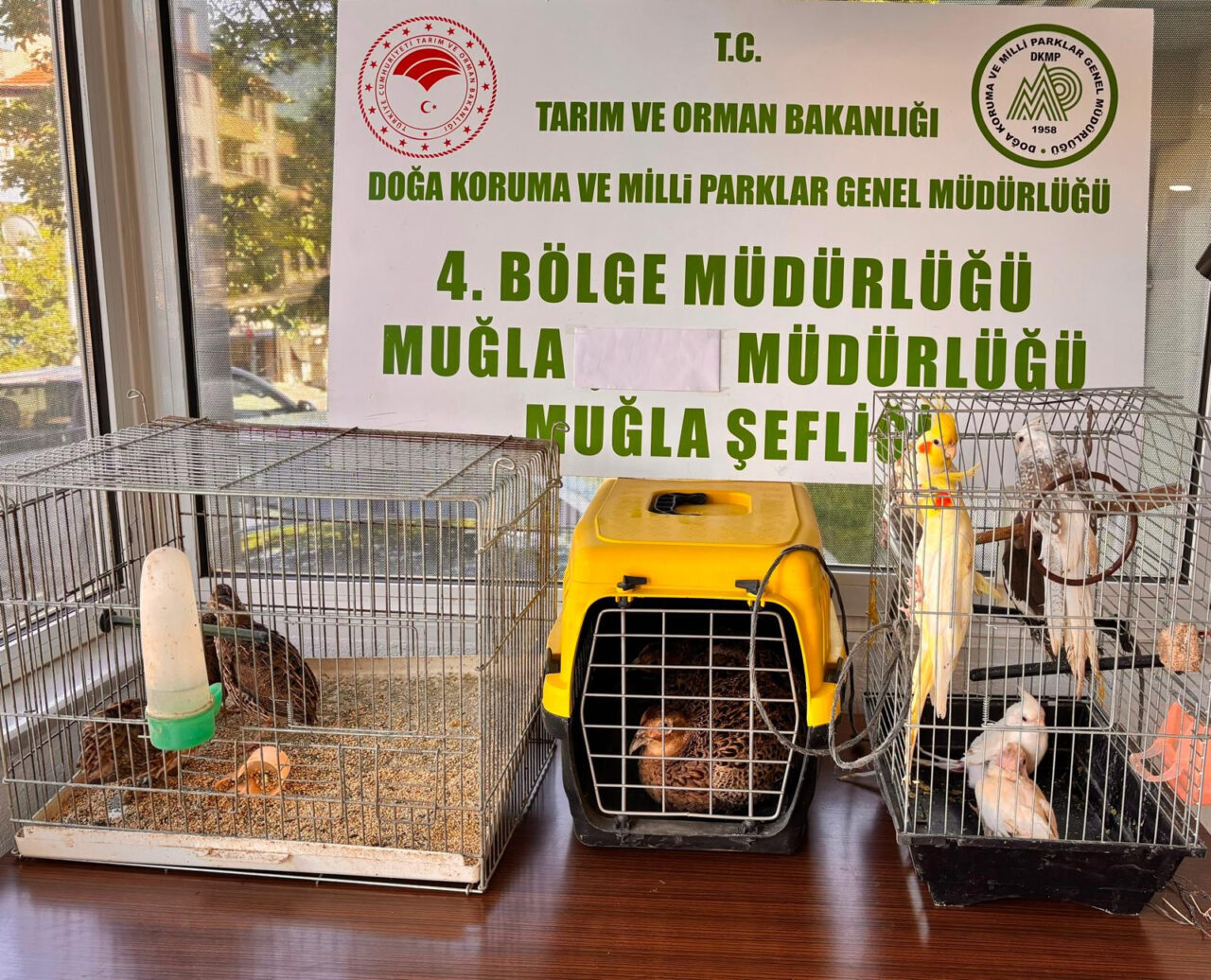 MUĞLA (AA) – Muğla'nın Ula ilçesindeki bir depoda, bulundurma ve