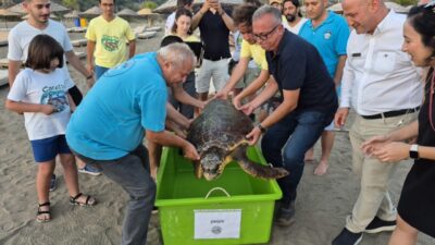 MUĞLA (AA) – Muğla'nın Ortaca ilçesindeki İztuzu Plajı'nda yuvalama sırasında