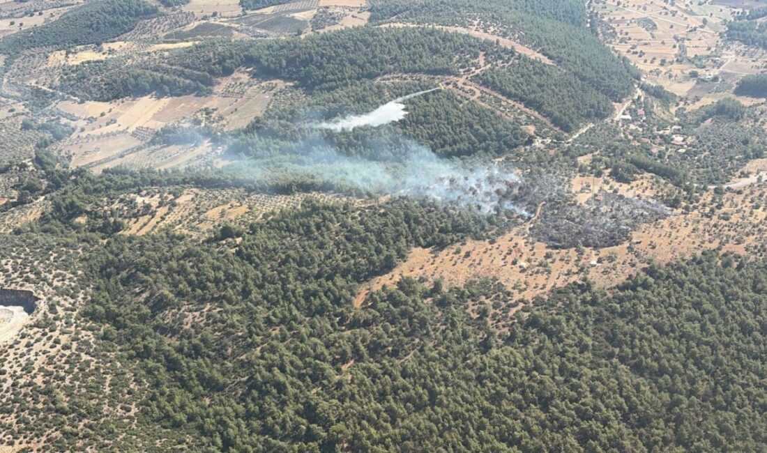 MUĞLA (AA) – Muğla'nın Milas ilçesinde ziraat alanında çıkan yangın,