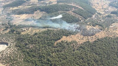 MUĞLA (AA) – Muğla'nın Milas ilçesinde ziraat alanında çıkan yangın,