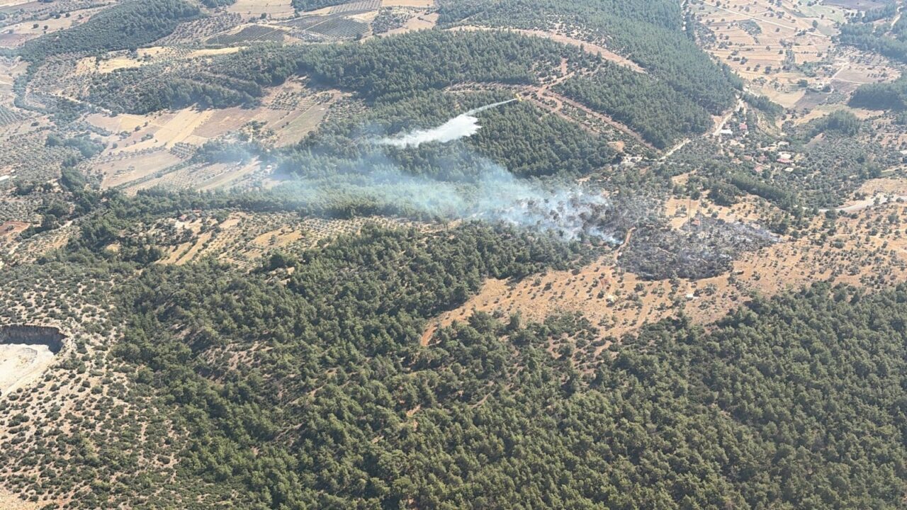 MUĞLA (AA) – Muğla'nın Milas ilçesinde ziraat alanında çıkan yangın,
