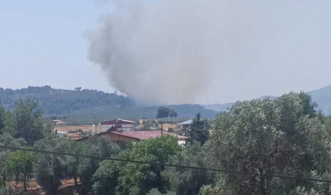 MUĞLA (AA) – Muğla'nın Seydikemer ilçesinde çıkan orman yangınına havadan