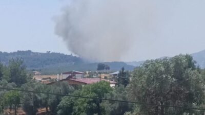 MUĞLA (AA) – Muğla'nın Seydikemer ilçesinde çıkan orman yangınına havadan