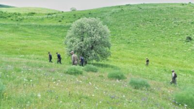 VAN (AA) – Muş'ta kaybolan 31 yaşındaki çoban Mizgin Balıkçı'yı