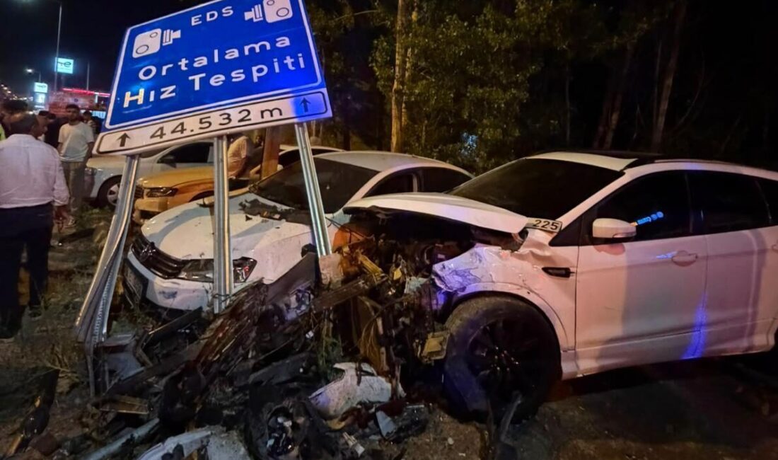 MUŞ (AA) – Muş'ta kontrolden çıkan otomobilin park halindeki 3