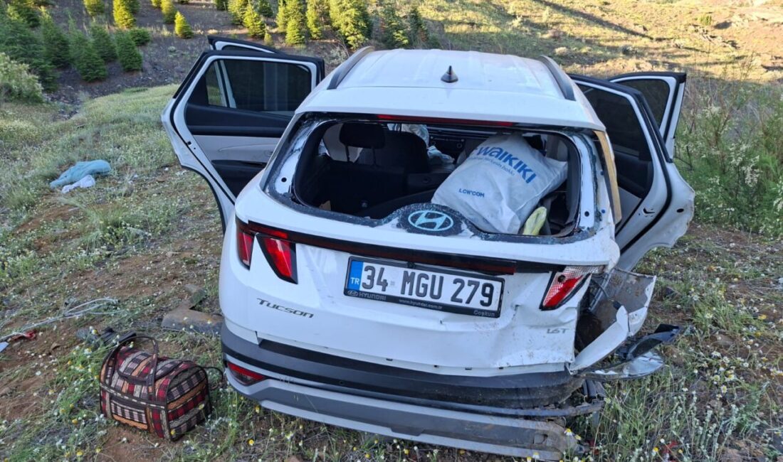 NİĞDE (AA) – Niğde'nin Ulukışla ilçesinde SUV tipi aracın şarampole