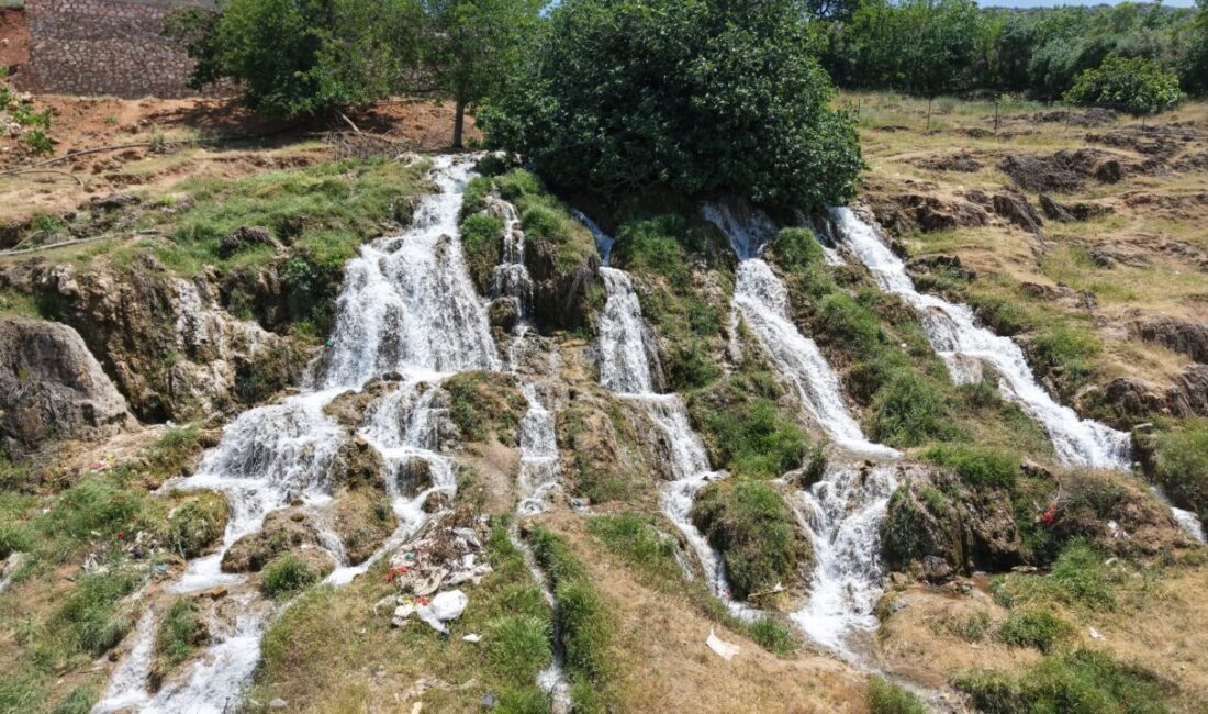 GAZİANTEP (AA) – Gaziantep’in Nurdağı ilçesinde, geçen yıl yeterli yağış