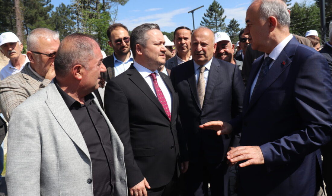 ORDU (AA) – Ordu'nun Ünye ilçesinde inşa edilen Can Dostlar