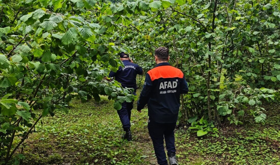ORDU (AA) – Ordu'nun Altınordu ilçesinde dereye düşen kişi hayatını