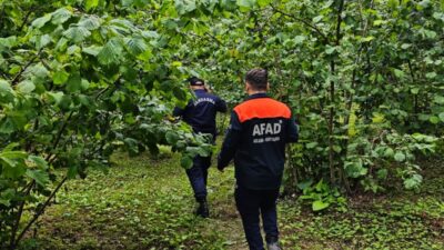 ORDU (AA) – Ordu'nun Altınordu ilçesinde dereye düşen kişi hayatını
