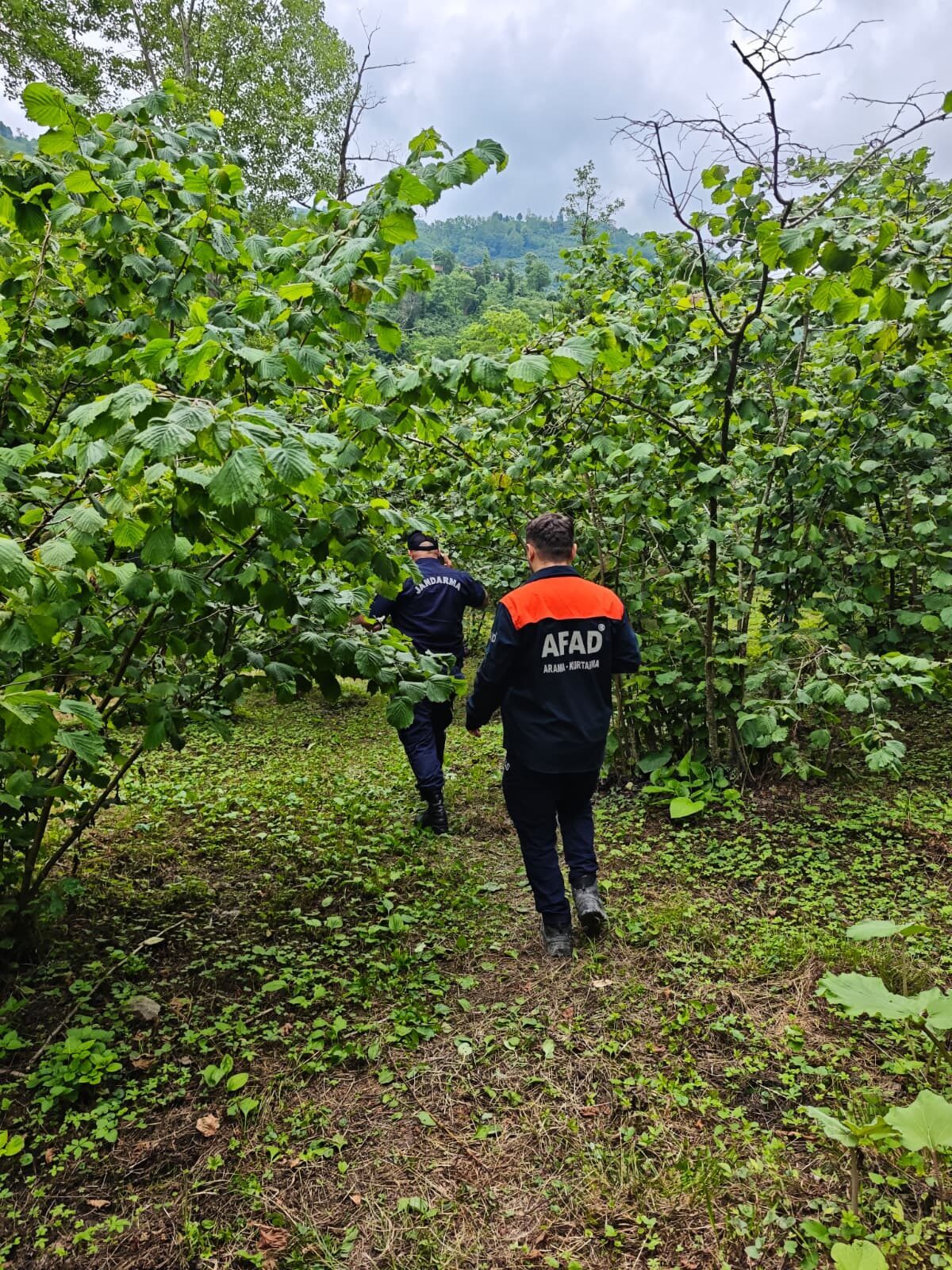 ORDU (AA) – Ordu'nun Altınordu ilçesinde dereye düşen kişi hayatını