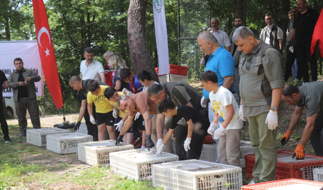 ORDU (AA) – Ordu'nun Ünye ve Fatsa ilçelerinde, kahverengi kokarcayla
