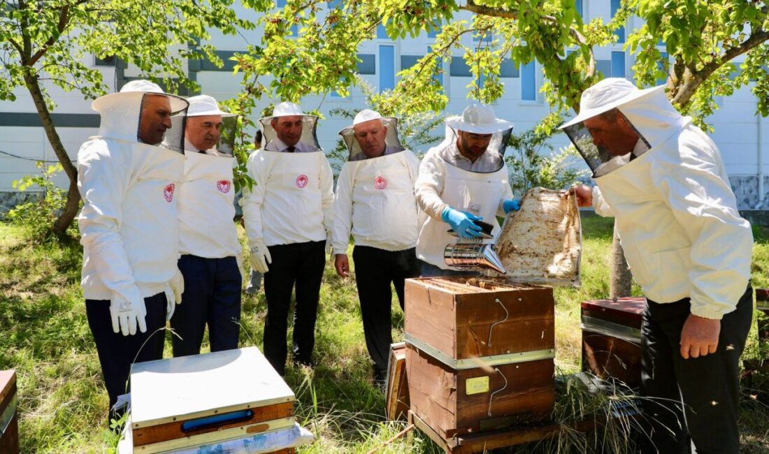 ORDU (AA) – Ordu'da üretilen 17 ton 271 kilogram bal,