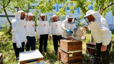 ORDU (AA) – Ordu'da üretilen 17 ton 271 kilogram bal,