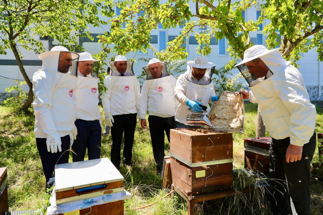 ORDU (AA) – Ordu'da üretilen 17 ton 271 kilogram bal,