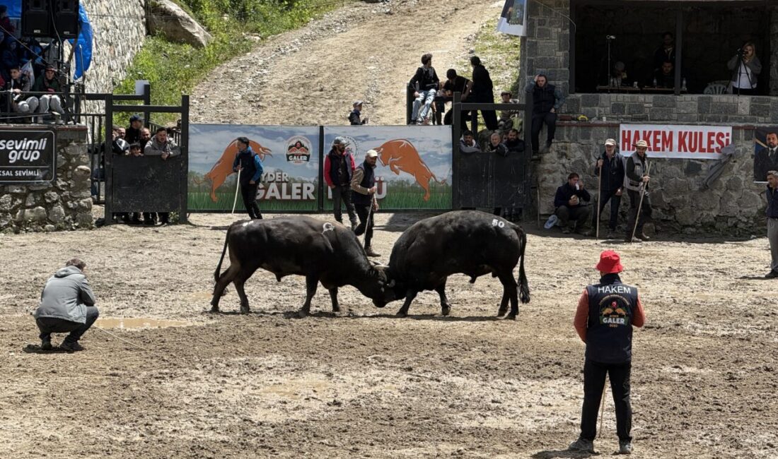 RİZE (AA) – Rize'de, 30. Çamlıhemşin Ayder Kültür, Sanat ve