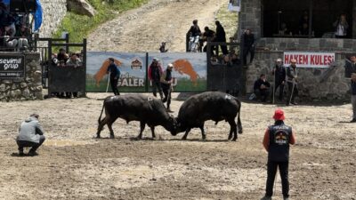 RİZE (AA) – Rize'de, 30. Çamlıhemşin Ayder Kültür, Sanat ve