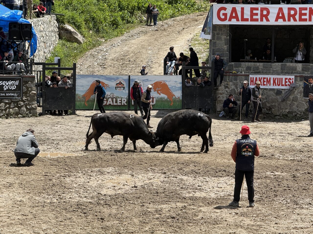 RİZE (AA) – Rize'de, 30. Çamlıhemşin Ayder Kültür, Sanat ve