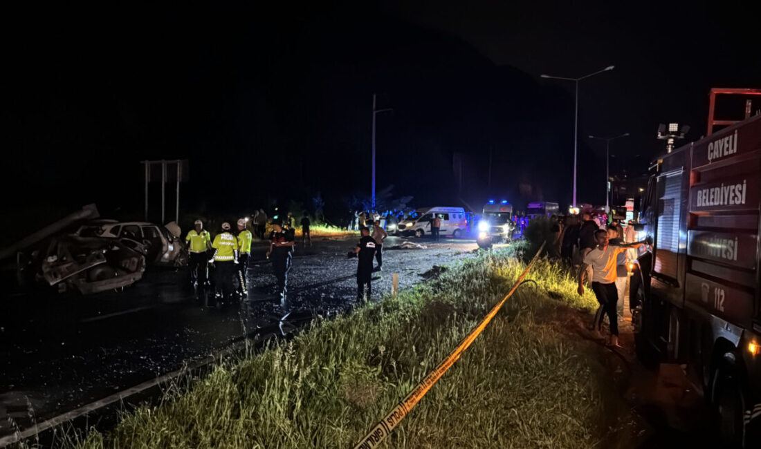 RİZE (AA) – Rize'nin Çayeli ilçesinde meydana gelen trafik kazasında