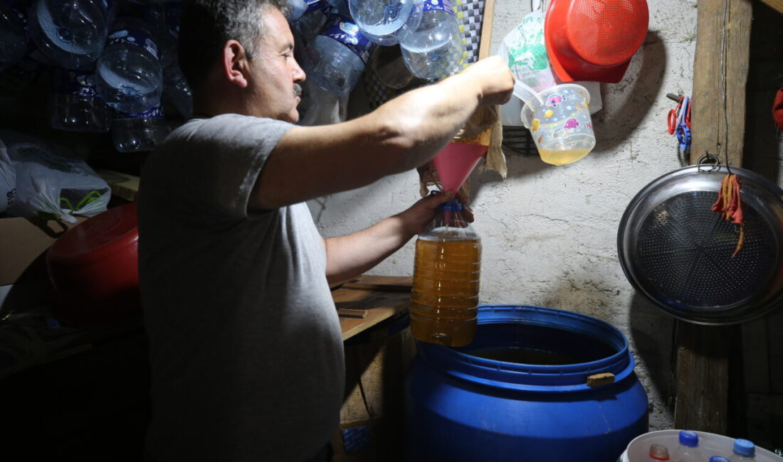 KARABÜK (AA) – Karabük'ün Safranbolu ilçesine bağlı Yazıköy'de geleneksel yöntemlerle