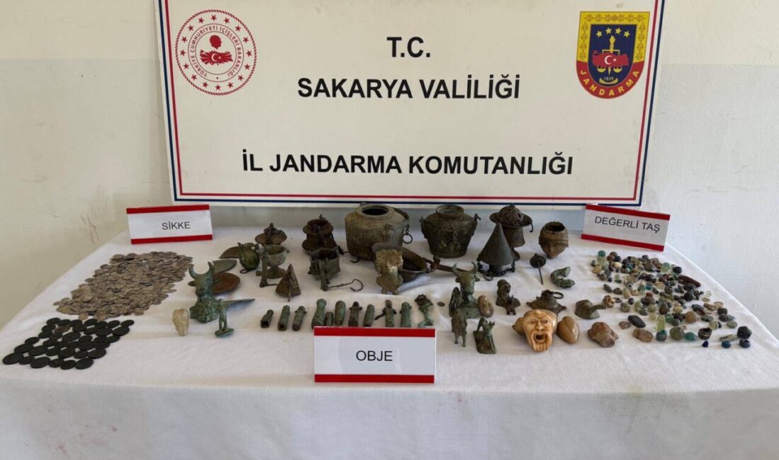 SAKARYA (AA) – Sakarya'nın Geyve ilçesinde kaçak kazı yapanlara yönelik