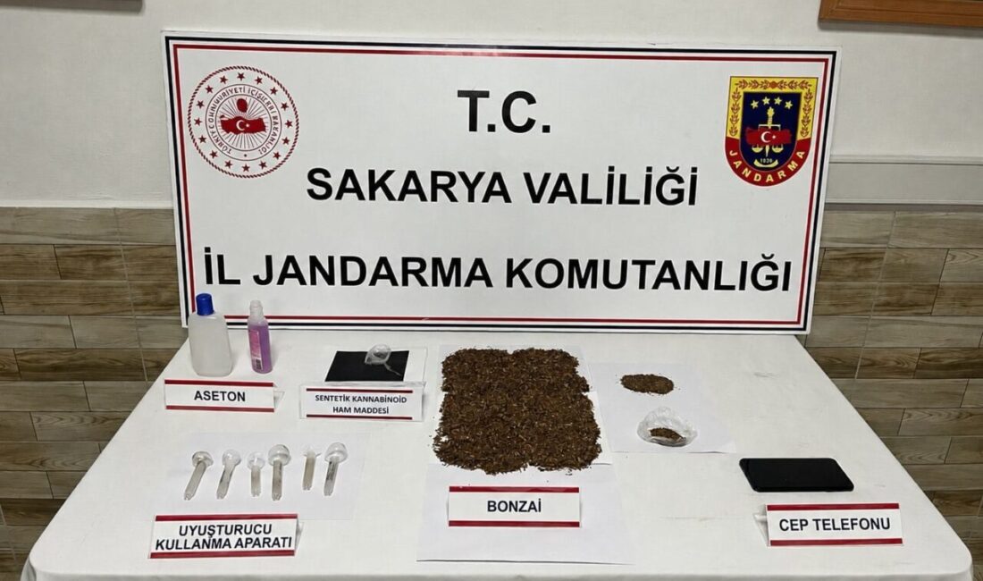 SAKARYA (AA) – Sakarya'nın Karasu, Hendek ve Serdivan ilçelerinde düzenlenen