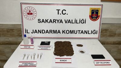 SAKARYA (AA) – Sakarya'nın Karasu, Hendek ve Serdivan ilçelerinde düzenlenen