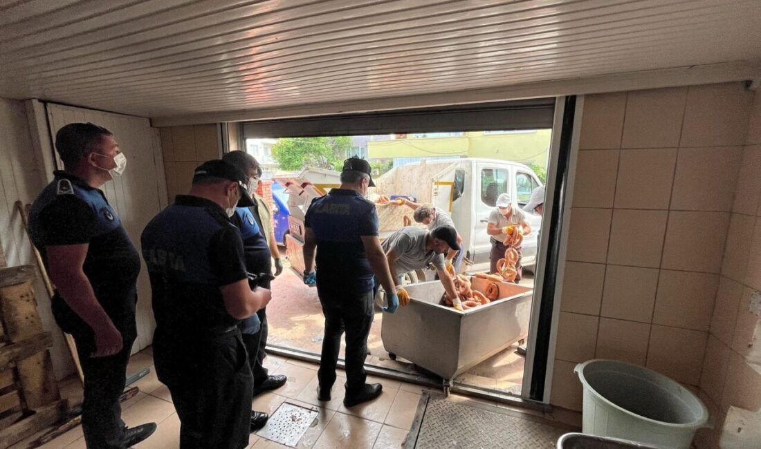 SAKARYA (AA) – Sakarya'nın Hendek ilçesinde yaklaşık 1 ton bozuk