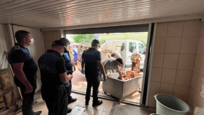 SAKARYA (AA) – Sakarya'nın Hendek ilçesinde yaklaşık 1 ton bozuk