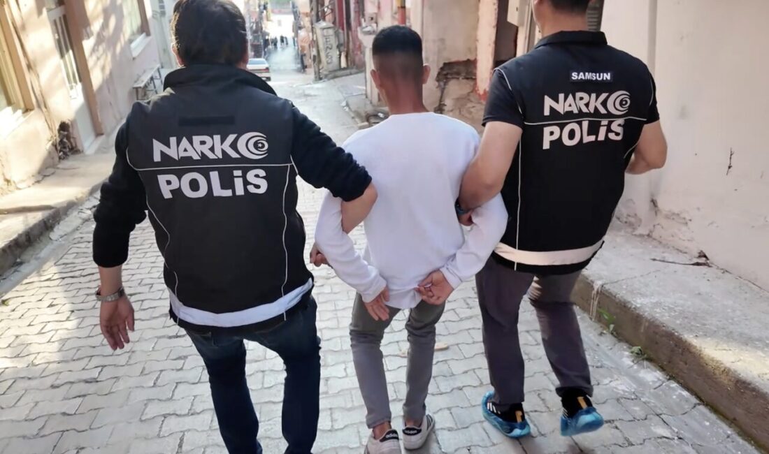 SAMSUN (AA) – Samsun merkezli 8 ilde düzenlenen yasa dışı