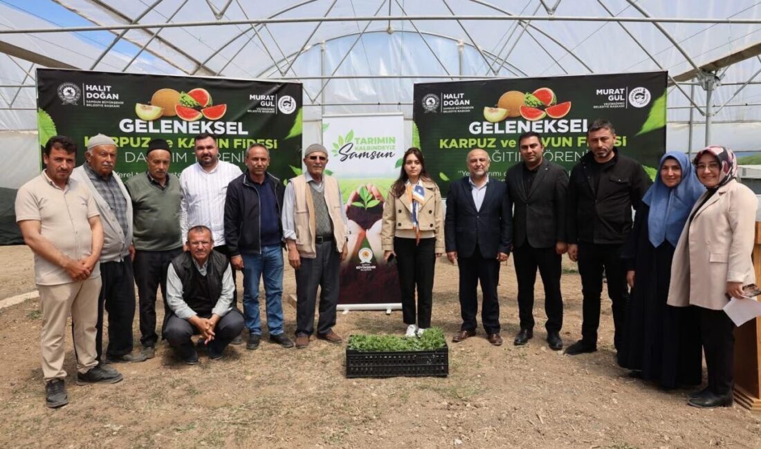 SAMSUN (AA) – Samsun Büyükşehir Belediyesi, 277 bin 711 dekar