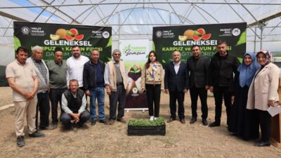 SAMSUN (AA) – Samsun Büyükşehir Belediyesi, 277 bin 711 dekar