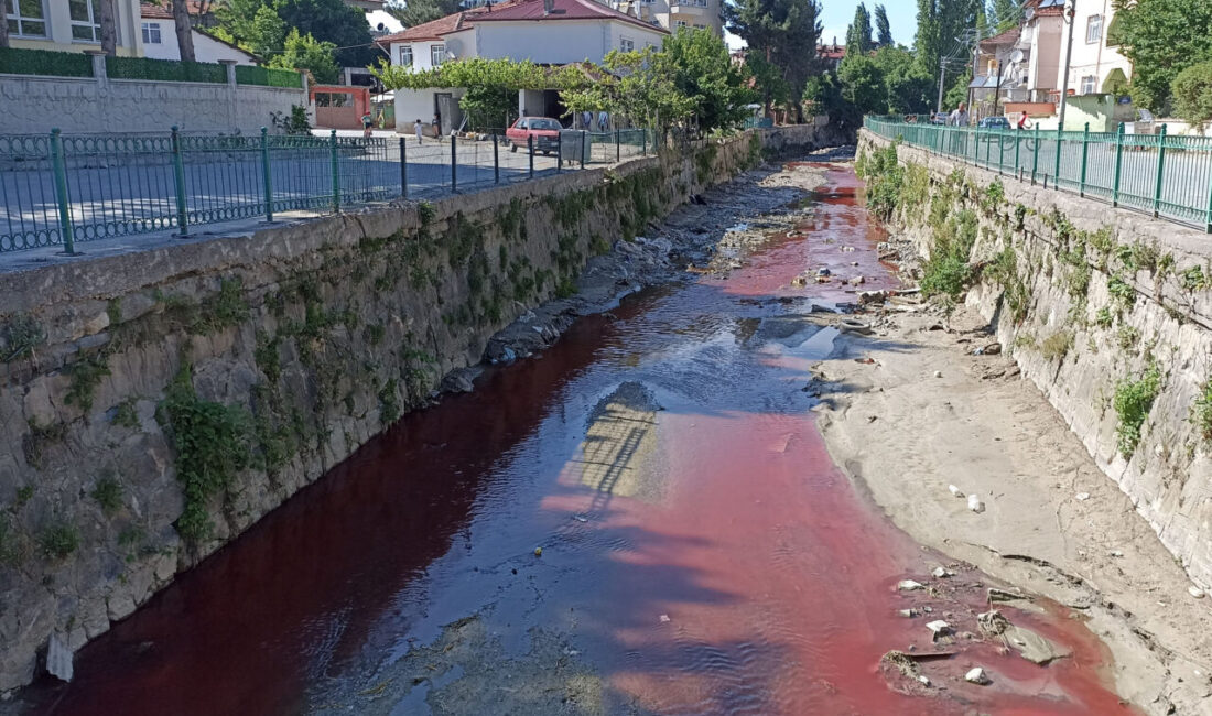 SAMSUN (AA) – Samsun'un Havza ilçesinde dereyi zirai ilaç ile