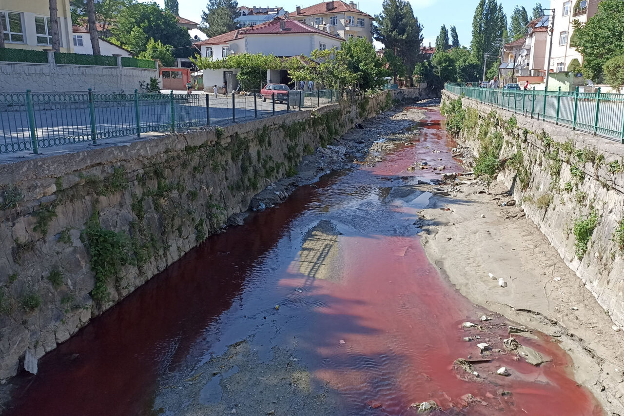 SAMSUN (AA) – Samsun'un Havza ilçesinde dereyi zirai ilaç ile